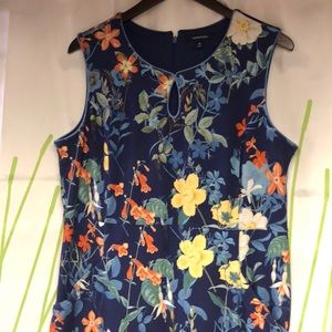 Lands End shift dress